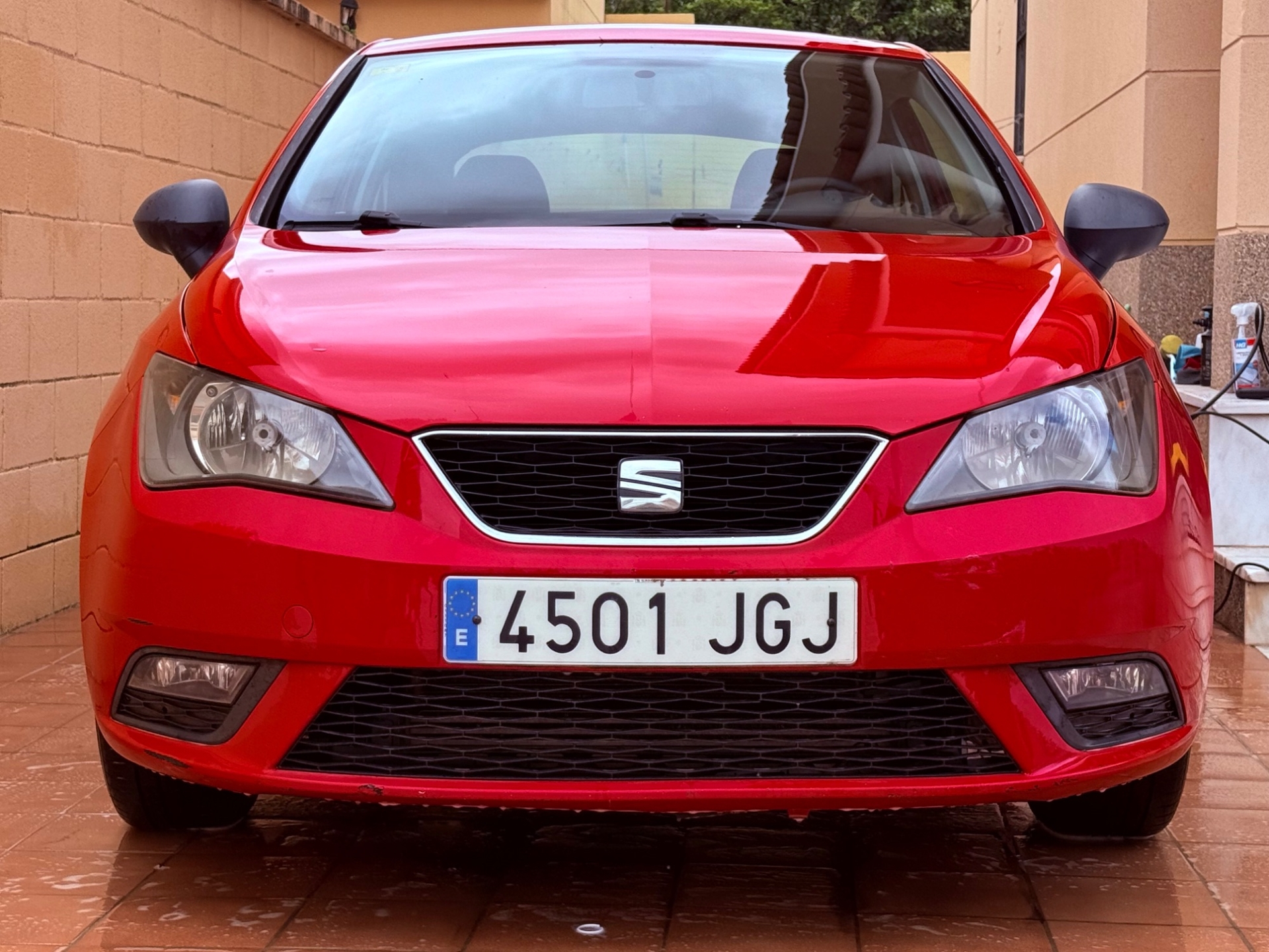 Imagen de SEAT Ibiza