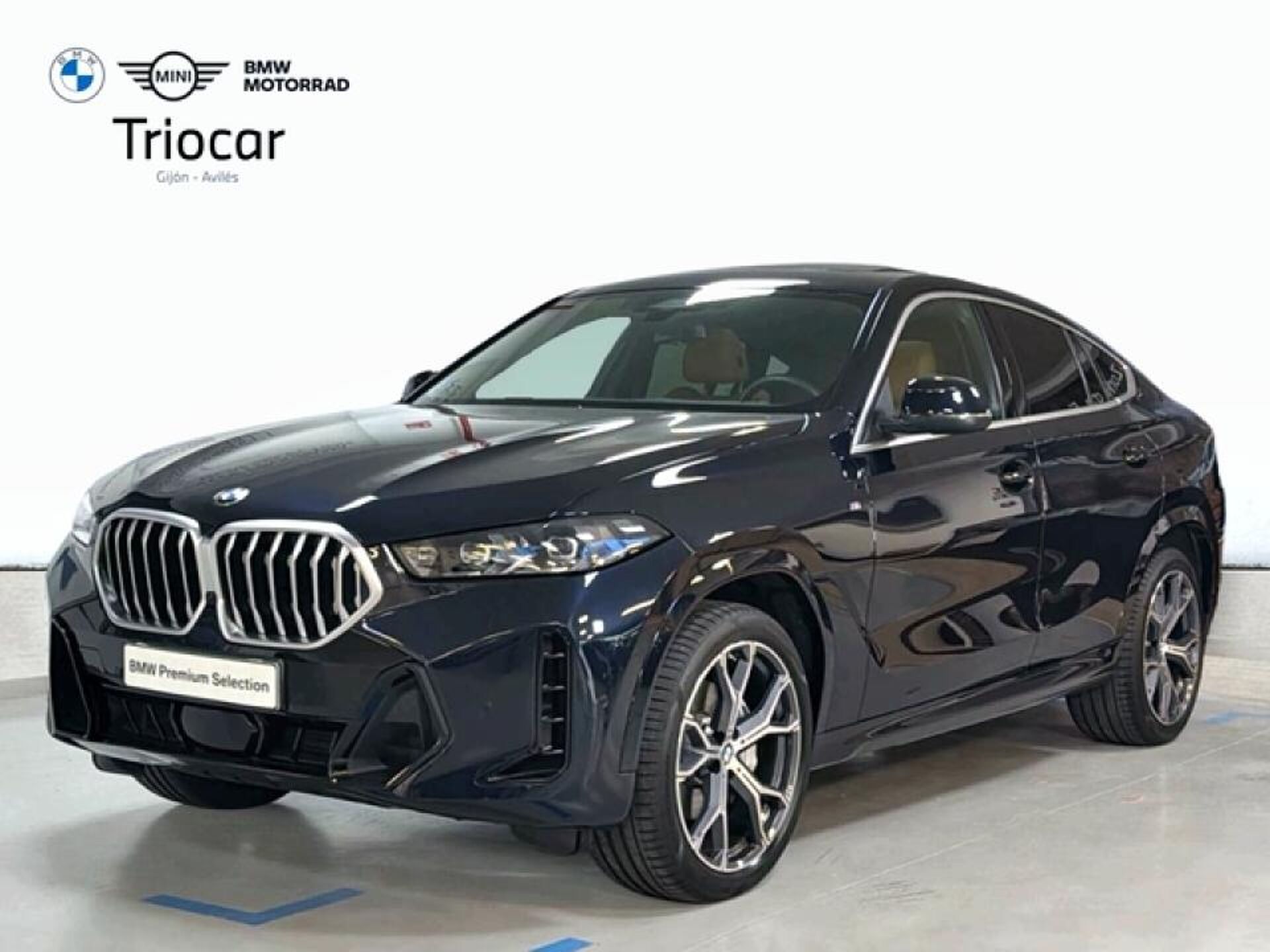 Imagen 1 de BMW X6