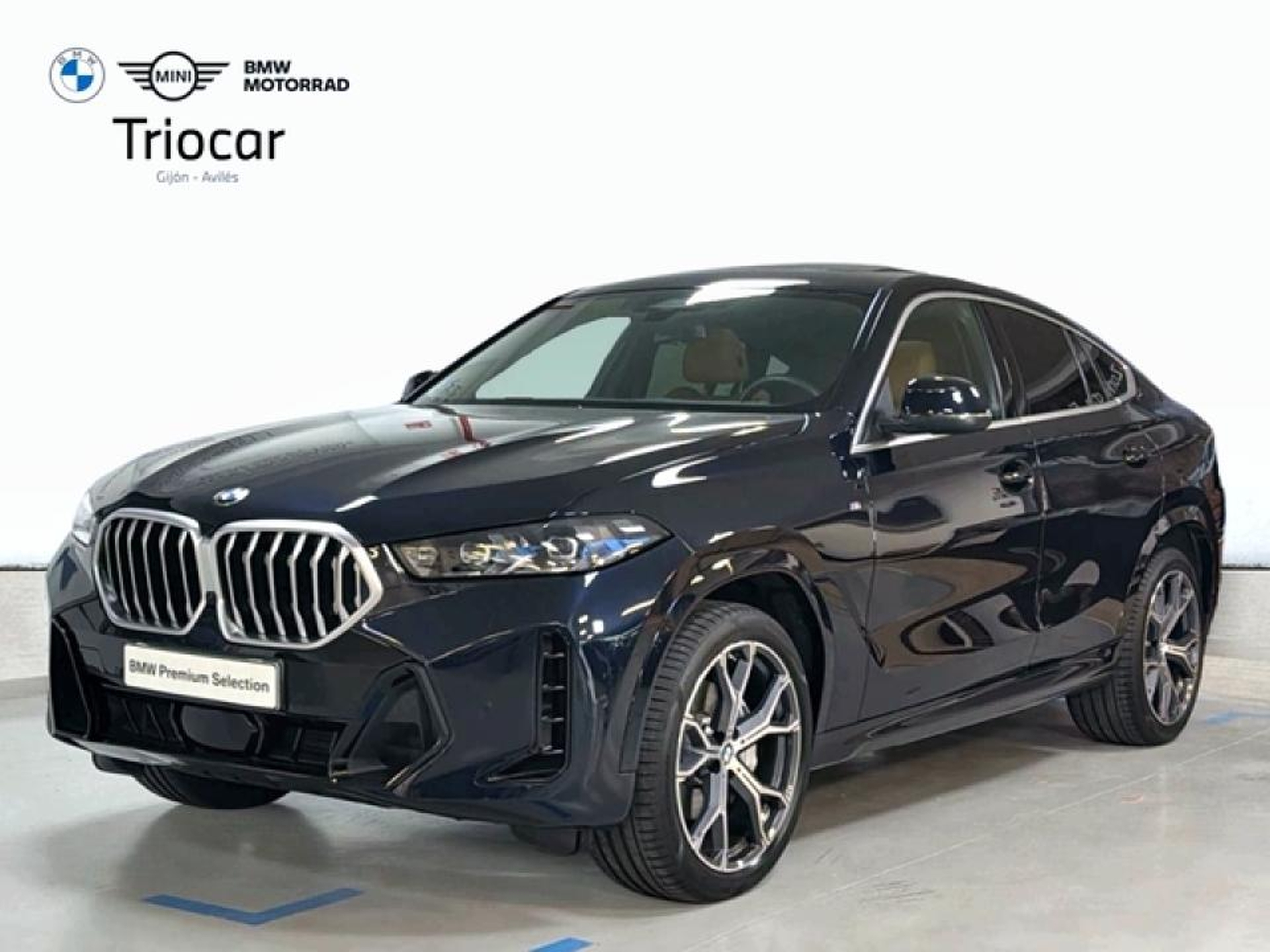 Imagen de BMW X6