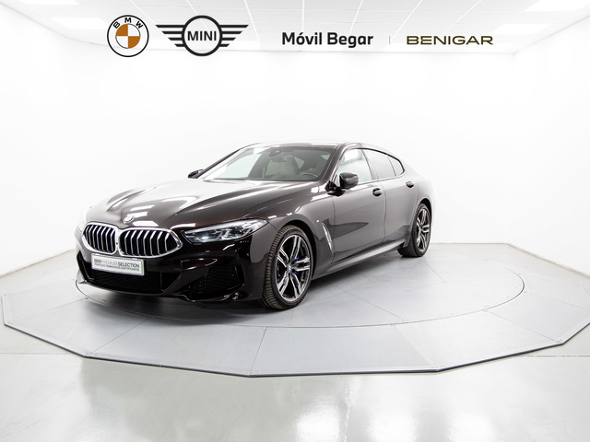 Imagen de BMW Serie 8