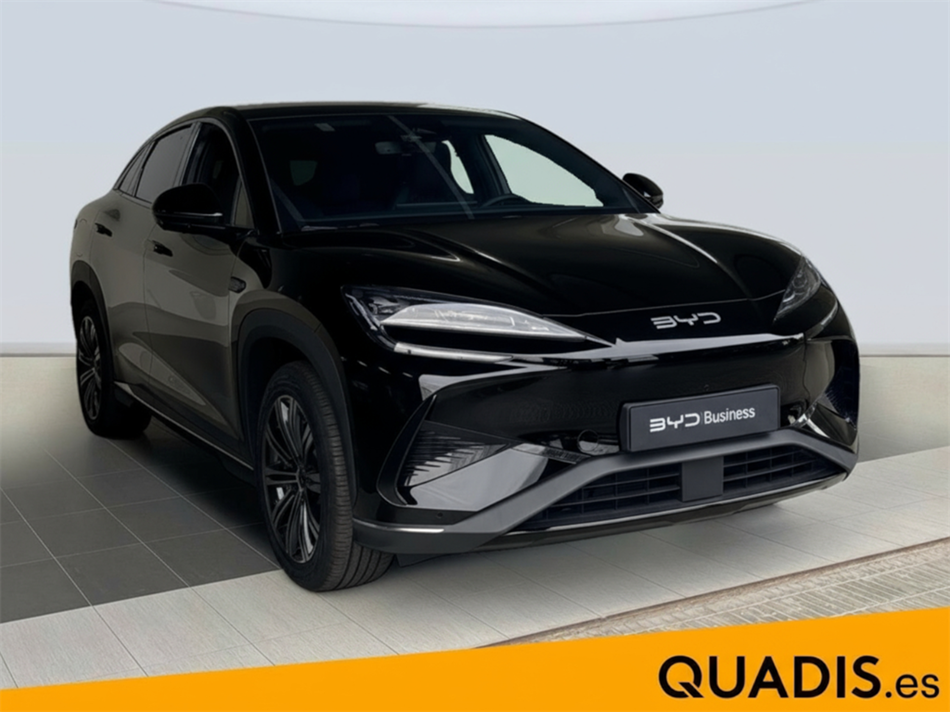 Imagen 3 de BYD Sealion 7