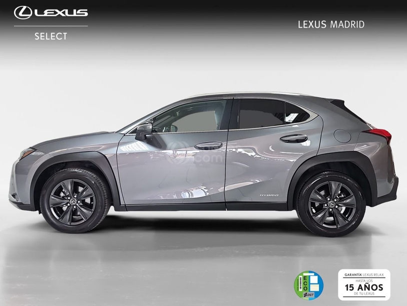 Foto del LEXUS UX 250h Business 4WD