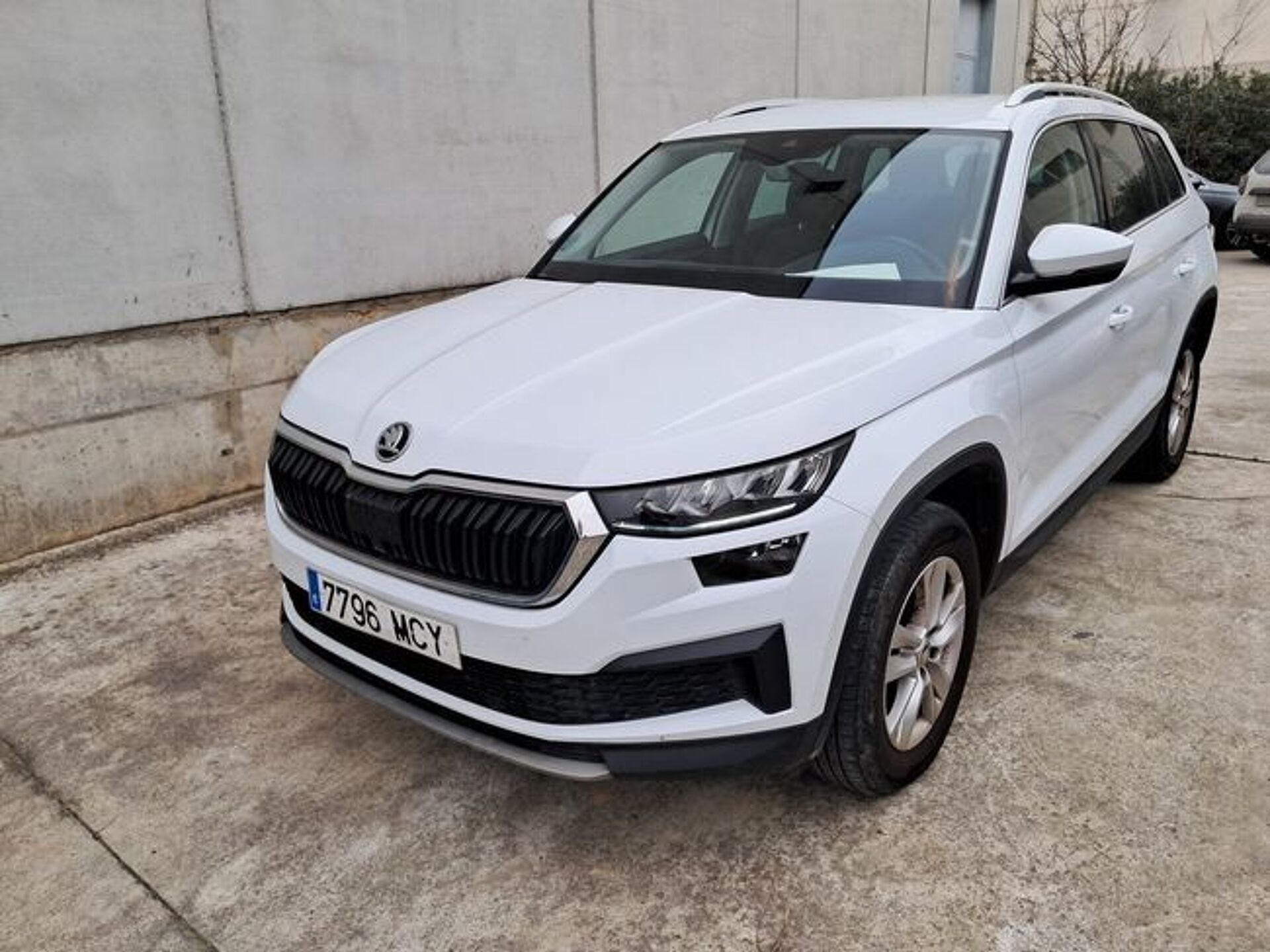Imagen 1 de SKODA Kodiaq