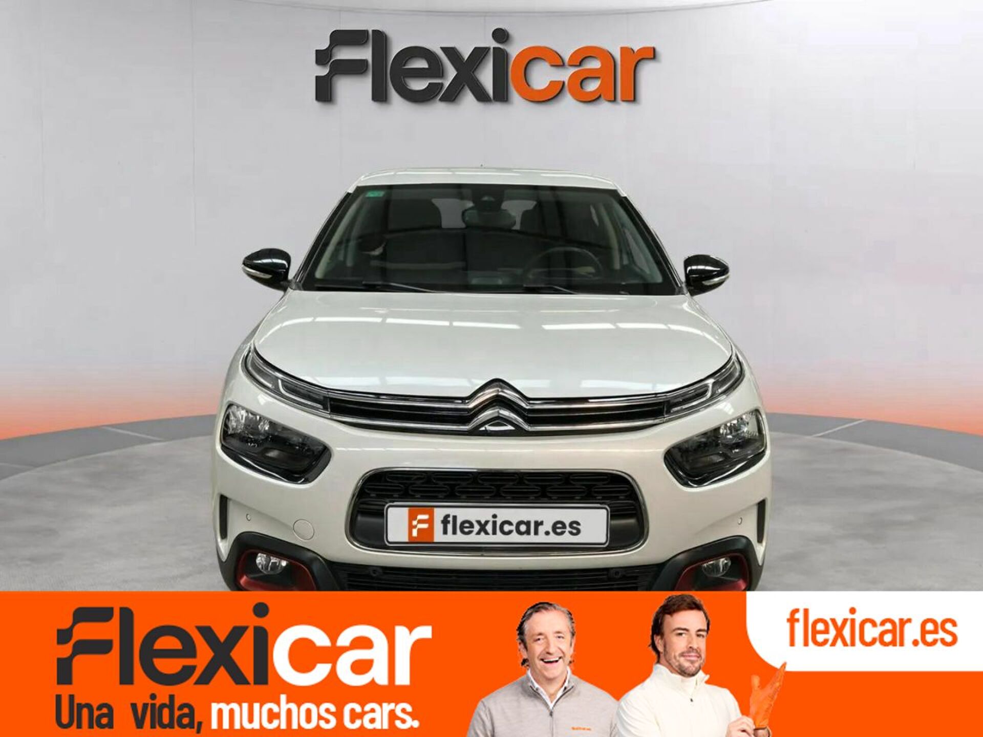 Imagen de CITROEN C4 Cactus