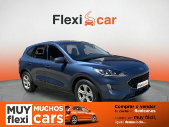 Imagen de FORD Kuga 1.5 EcoBlue Trend FWD 120