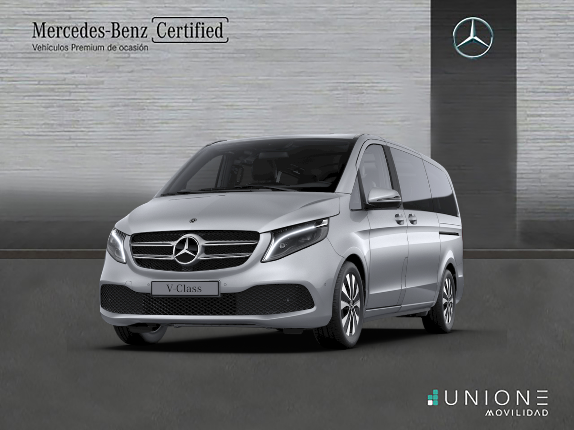 MERCEDES Clase V (250 d Largo) en Toledo