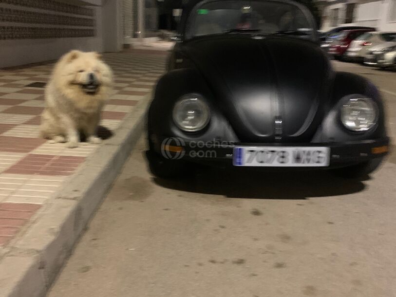 Foto del VOLKSWAGEN Beetle 2.0
