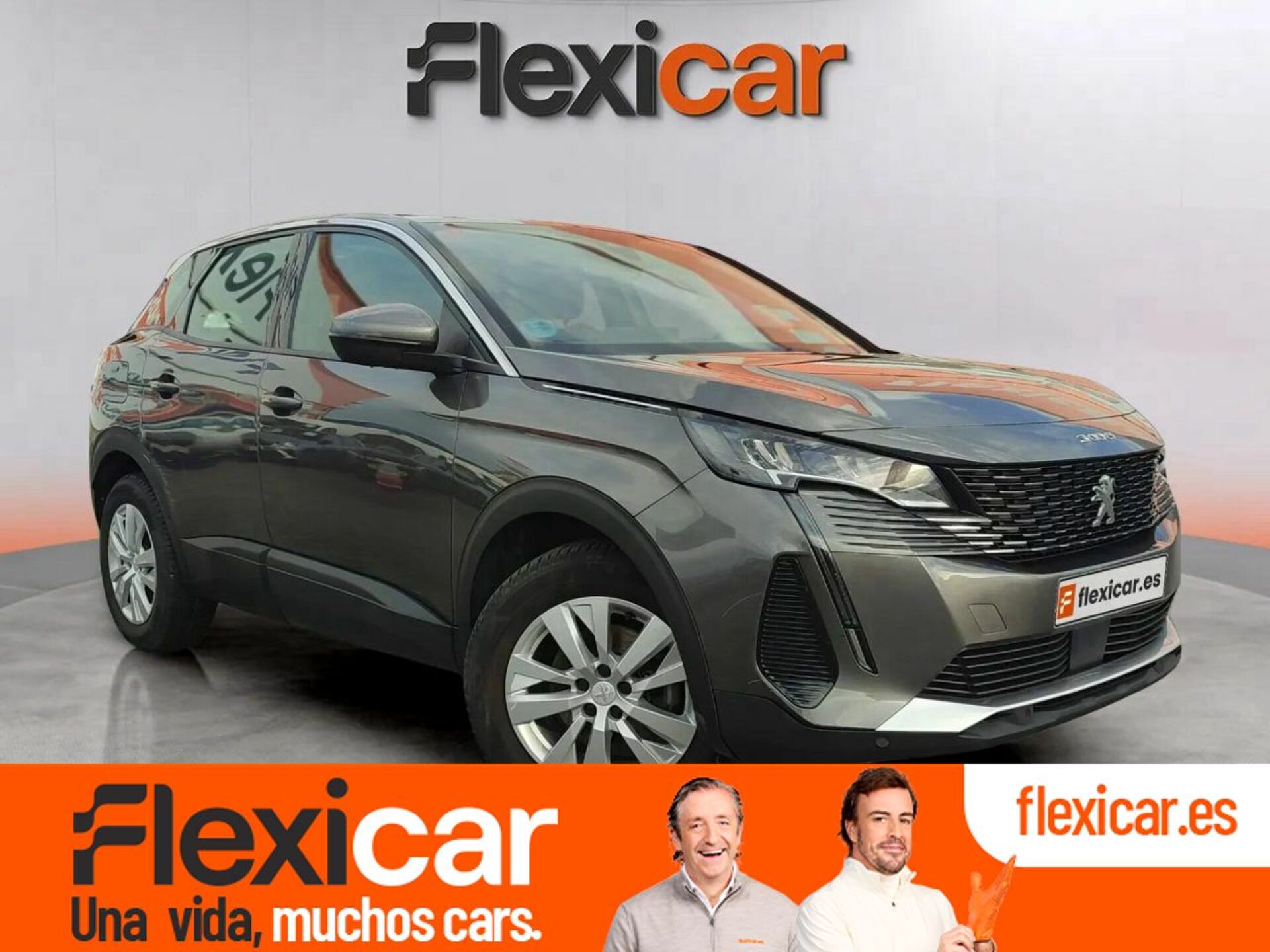 Imagen de PEUGEOT 3008