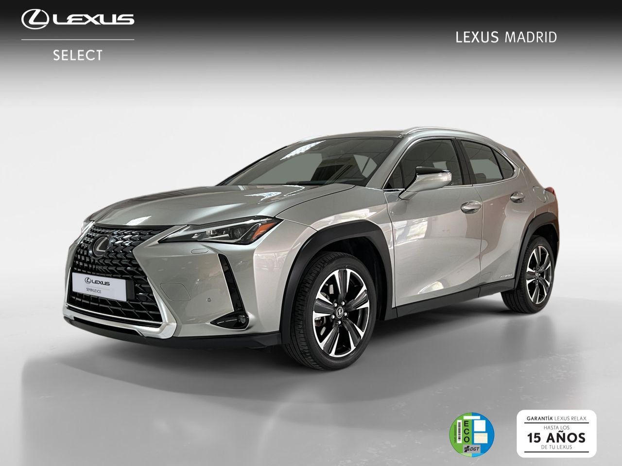 LEXUS UX (2.0 250h Premium) en Madrid
