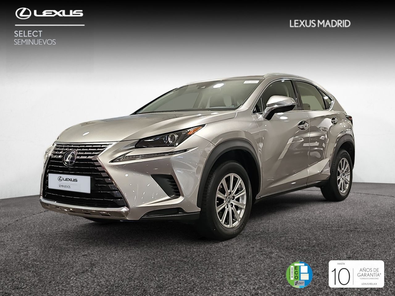 LEXUS NX (2.5 300h Business 2WD) en Madrid