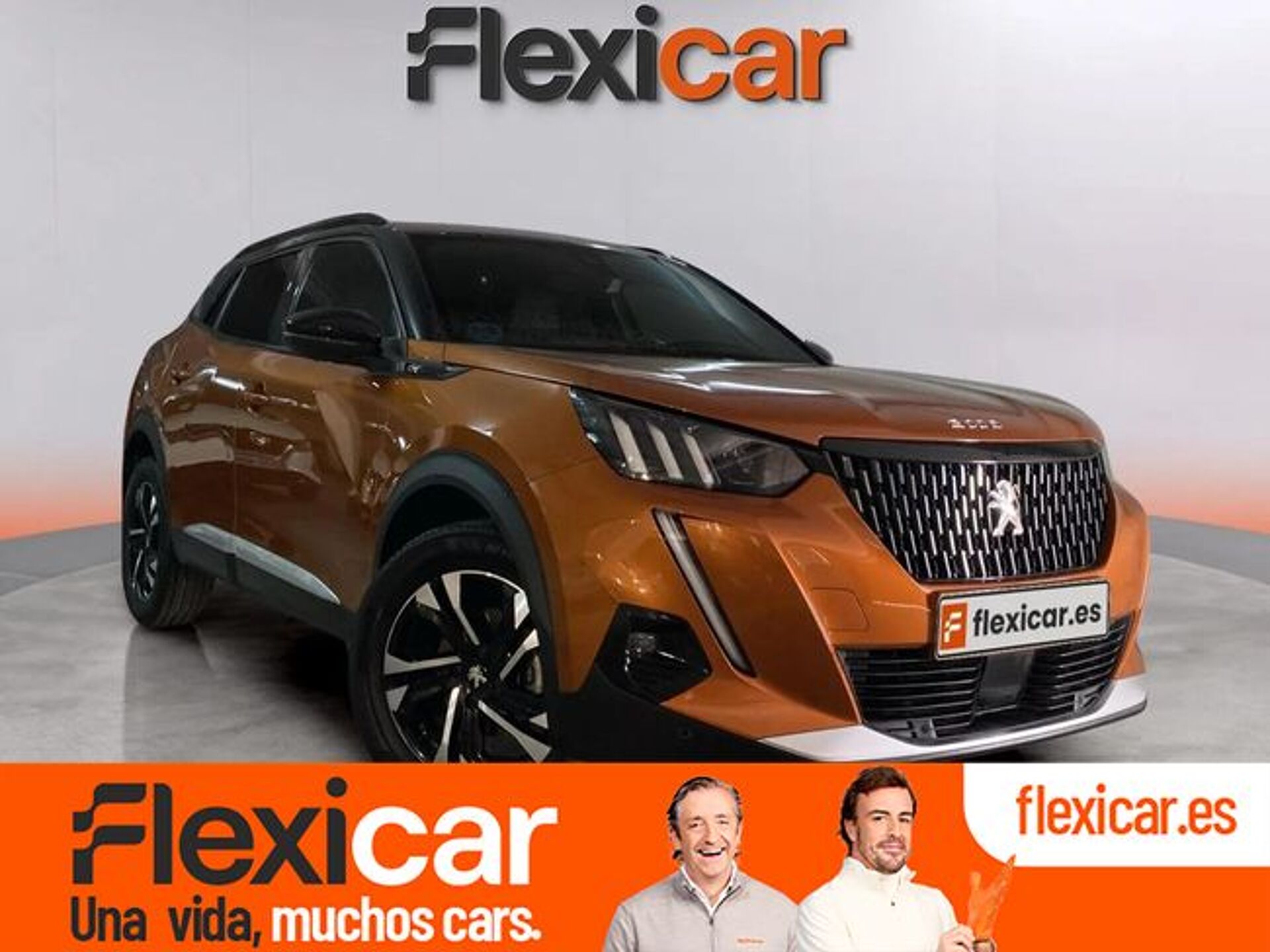 Imagen 1 de PEUGEOT 2008