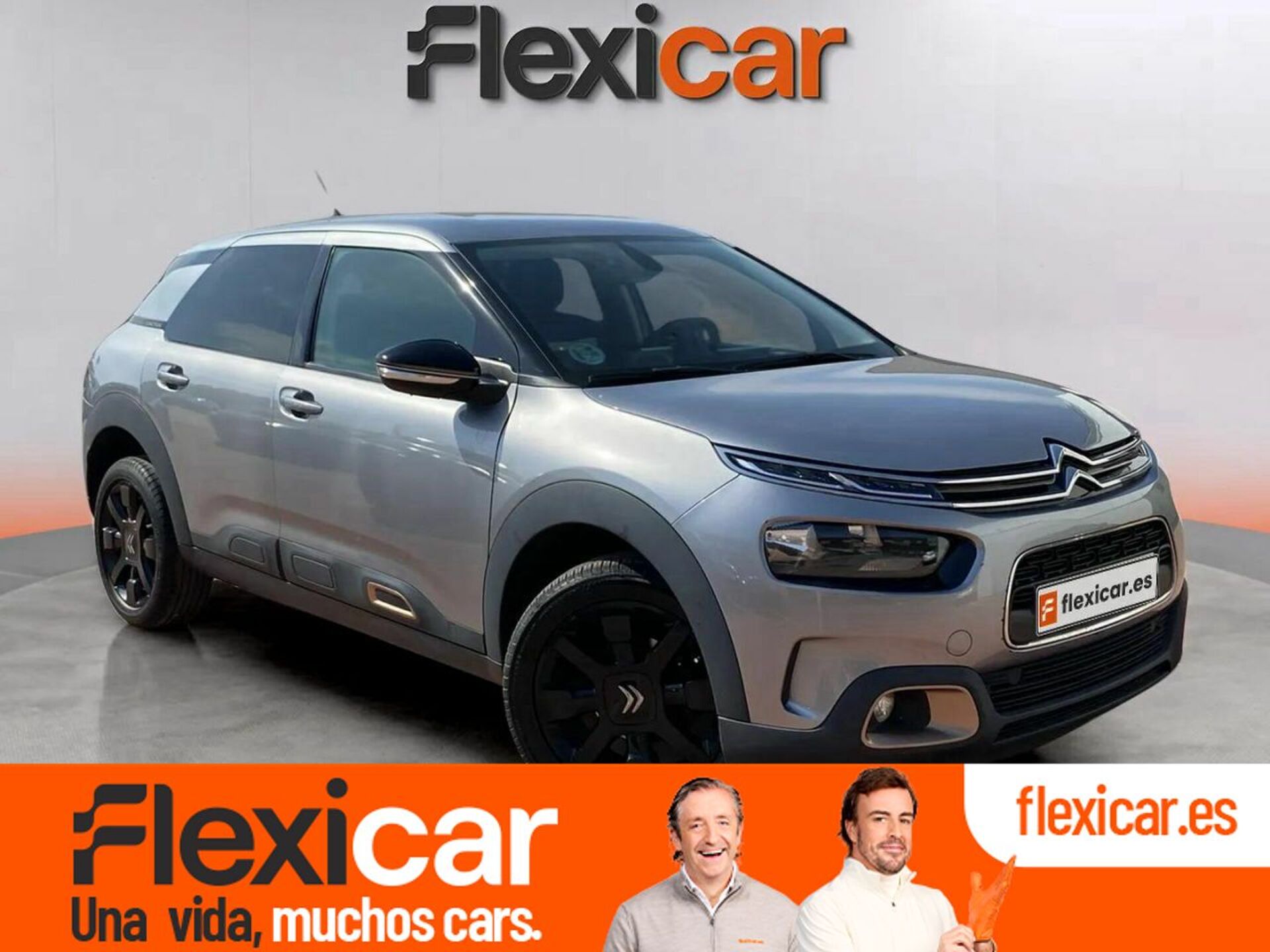 Imagen de CITROEN C4 Cactus
