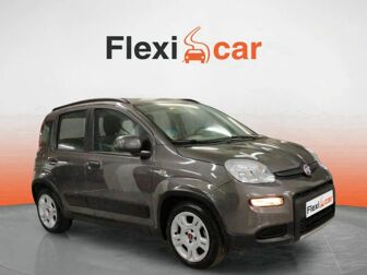 Imagen de FIAT Panda 1.0 Gse City Cross Hybrid