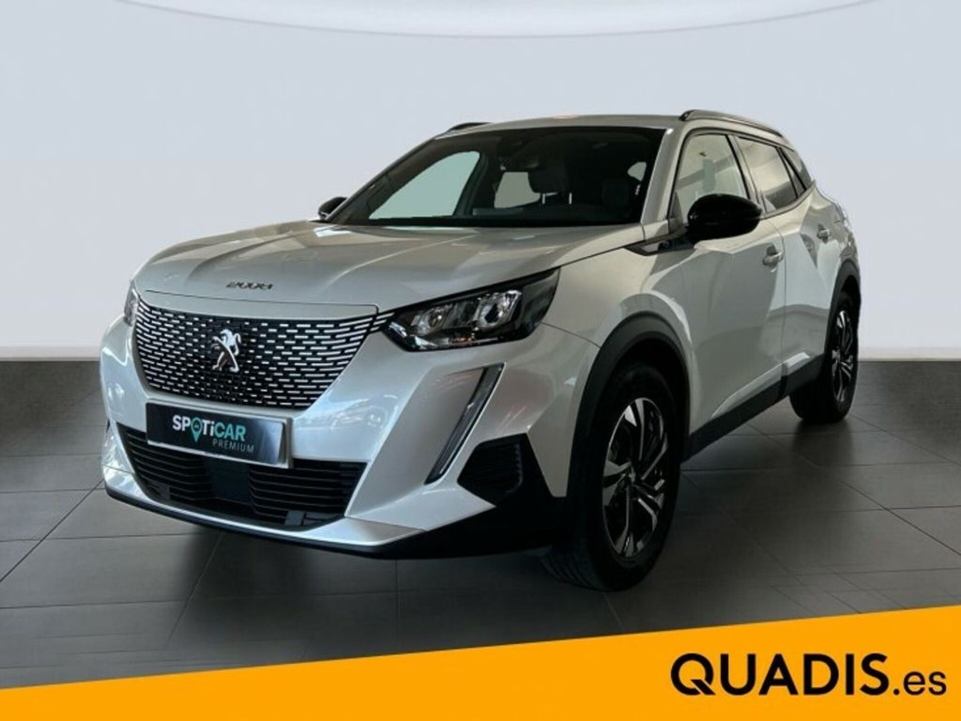 Imagen de PEUGEOT 2008