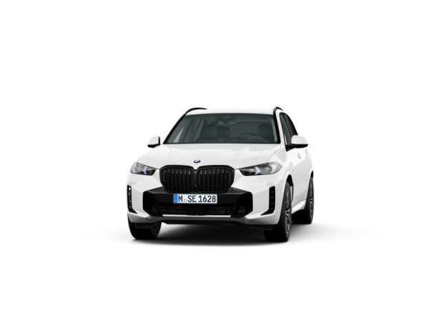 BMW X5 (xDrive30d  xLine 219 kW (298 CV)) en Alicante