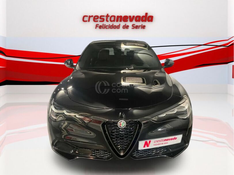 Foto del ALFA ROMEO Stelvio 2.2 Veloce Q4 210 Aut.