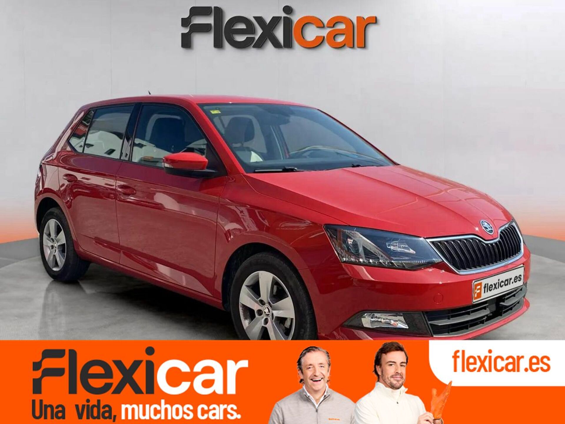 Imagen de SKODA Fabia
