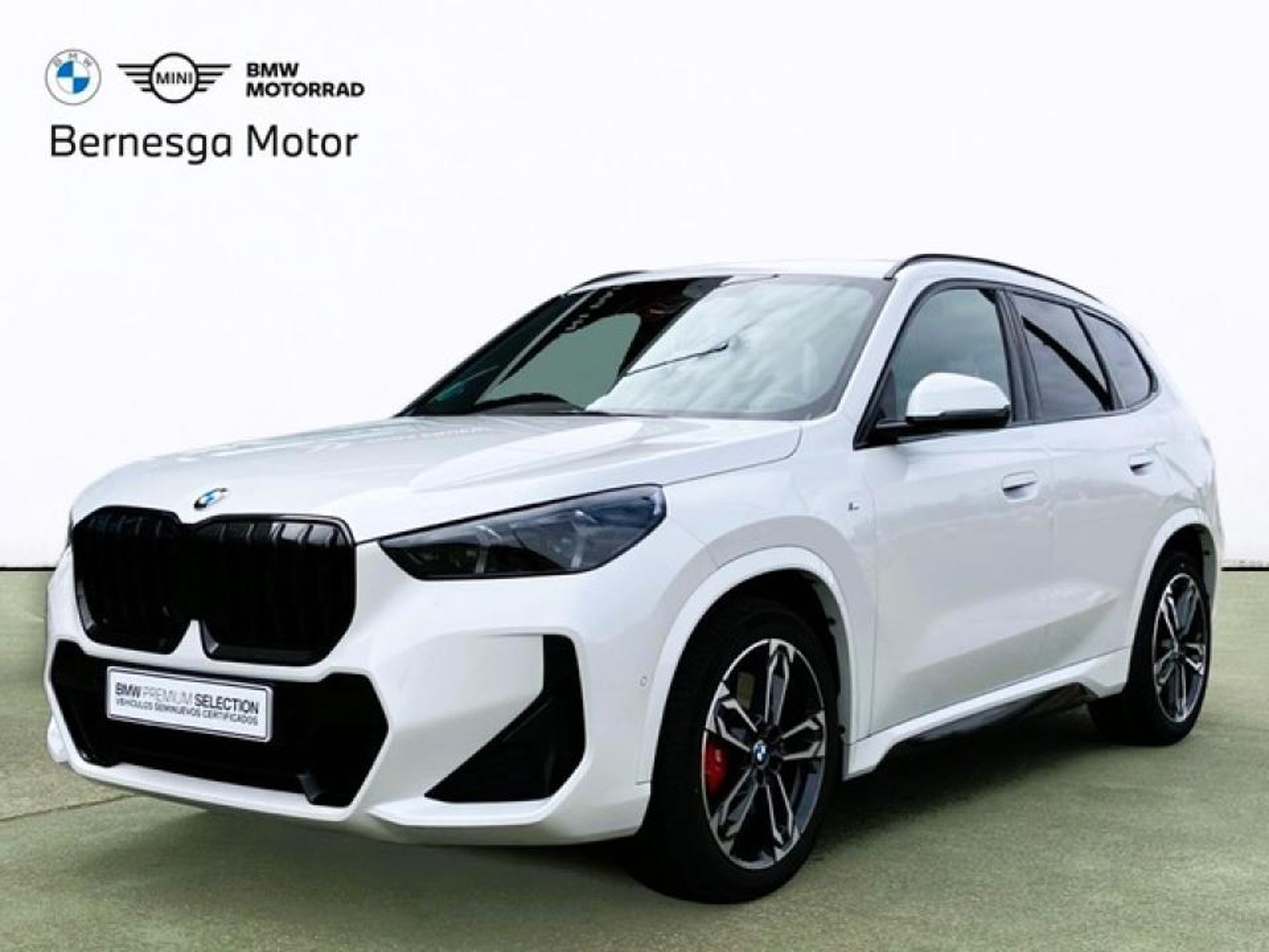 Imagen de BMW X1