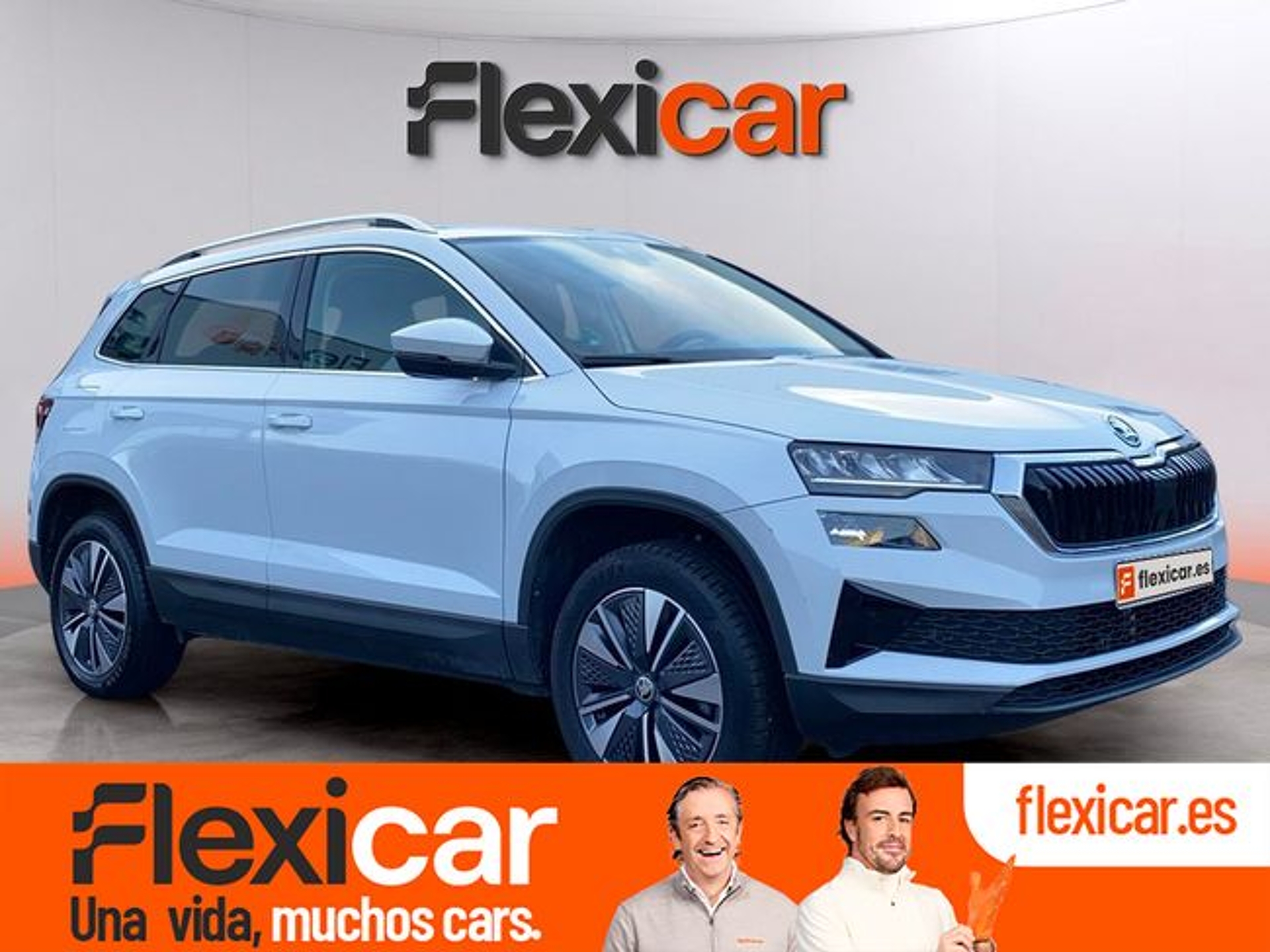 Imagen de SKODA Karoq