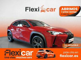Imagen de LEXUS UX 250h Business 2WD