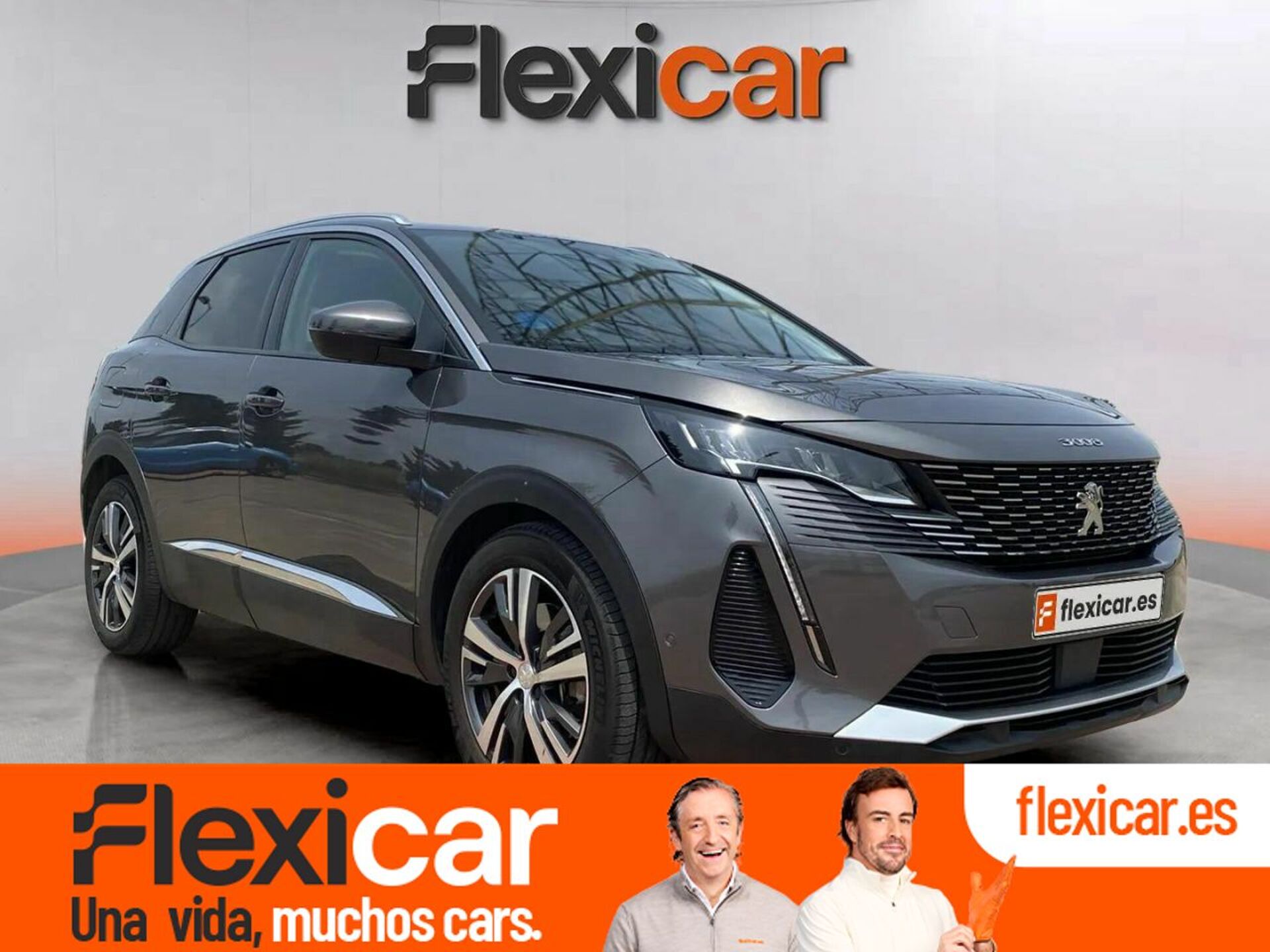 Imagen de PEUGEOT 3008