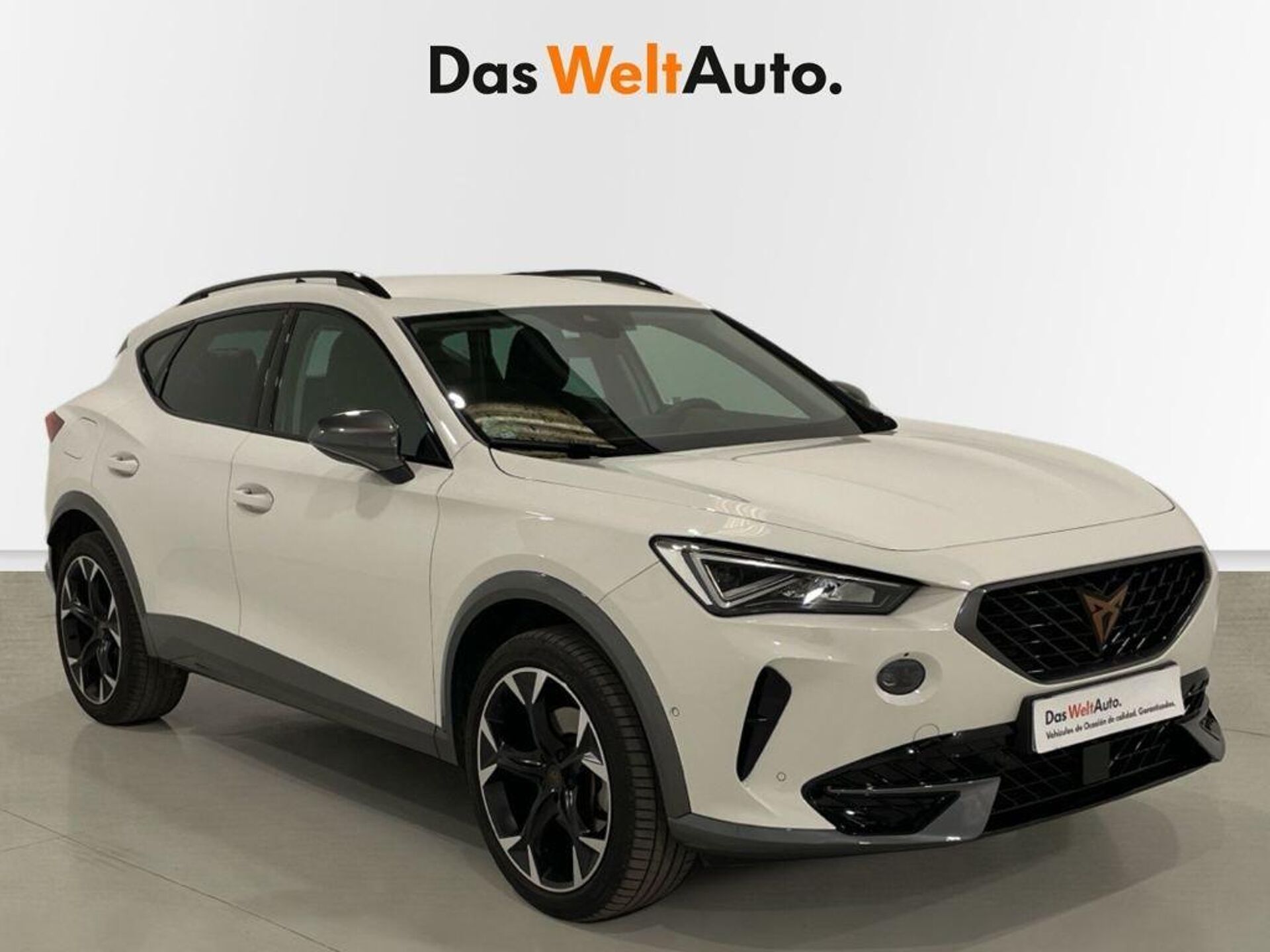 Imagen de CUPRA Formentor