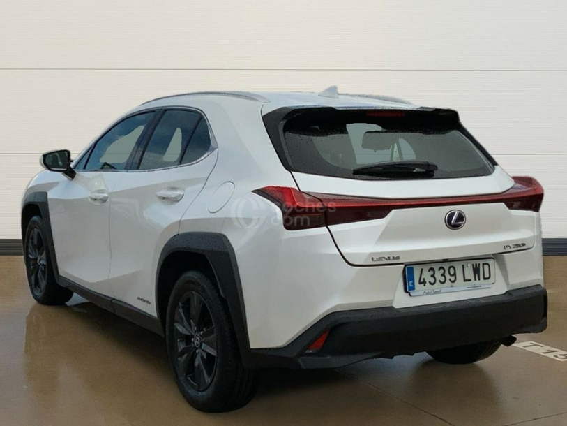 Foto del LEXUS UX 250h Business 4WD