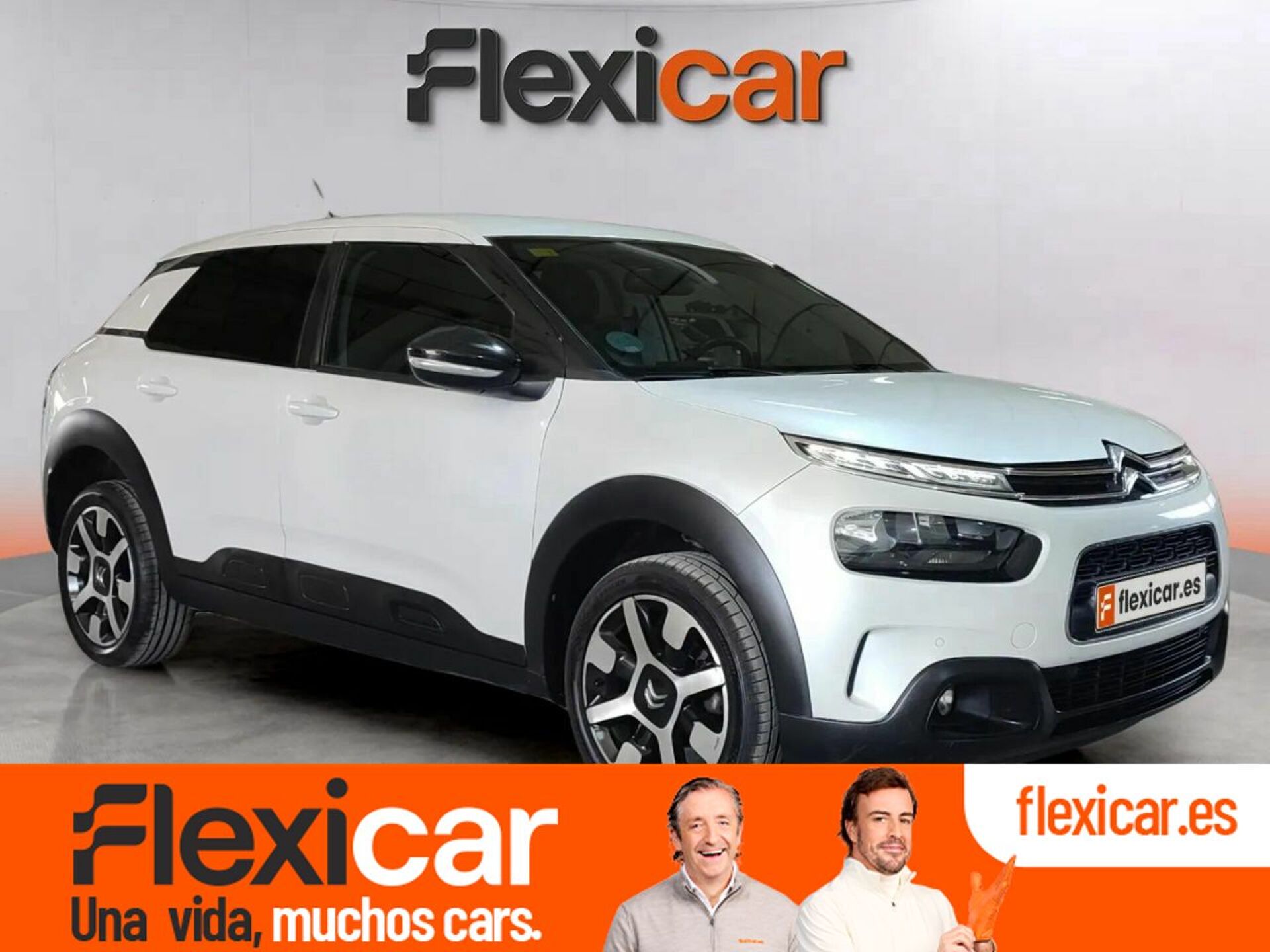 Imagen de CITROEN C4 Cactus