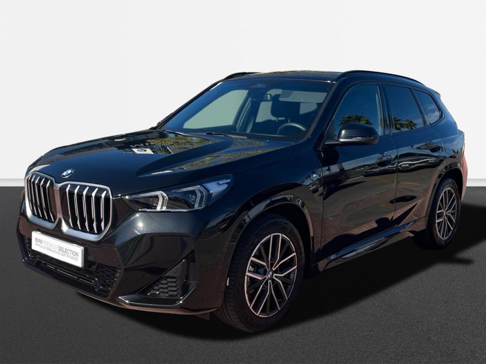 Imagen de BMW X1
