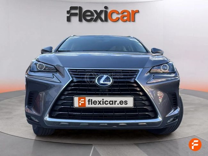 Foto del LEXUS NX 300h Business 2WD