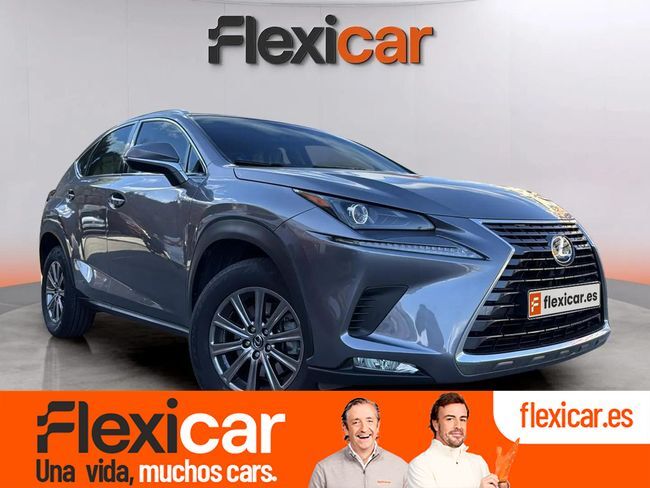 LEXUS NX (2.5 300h Business 2WD) en Girona