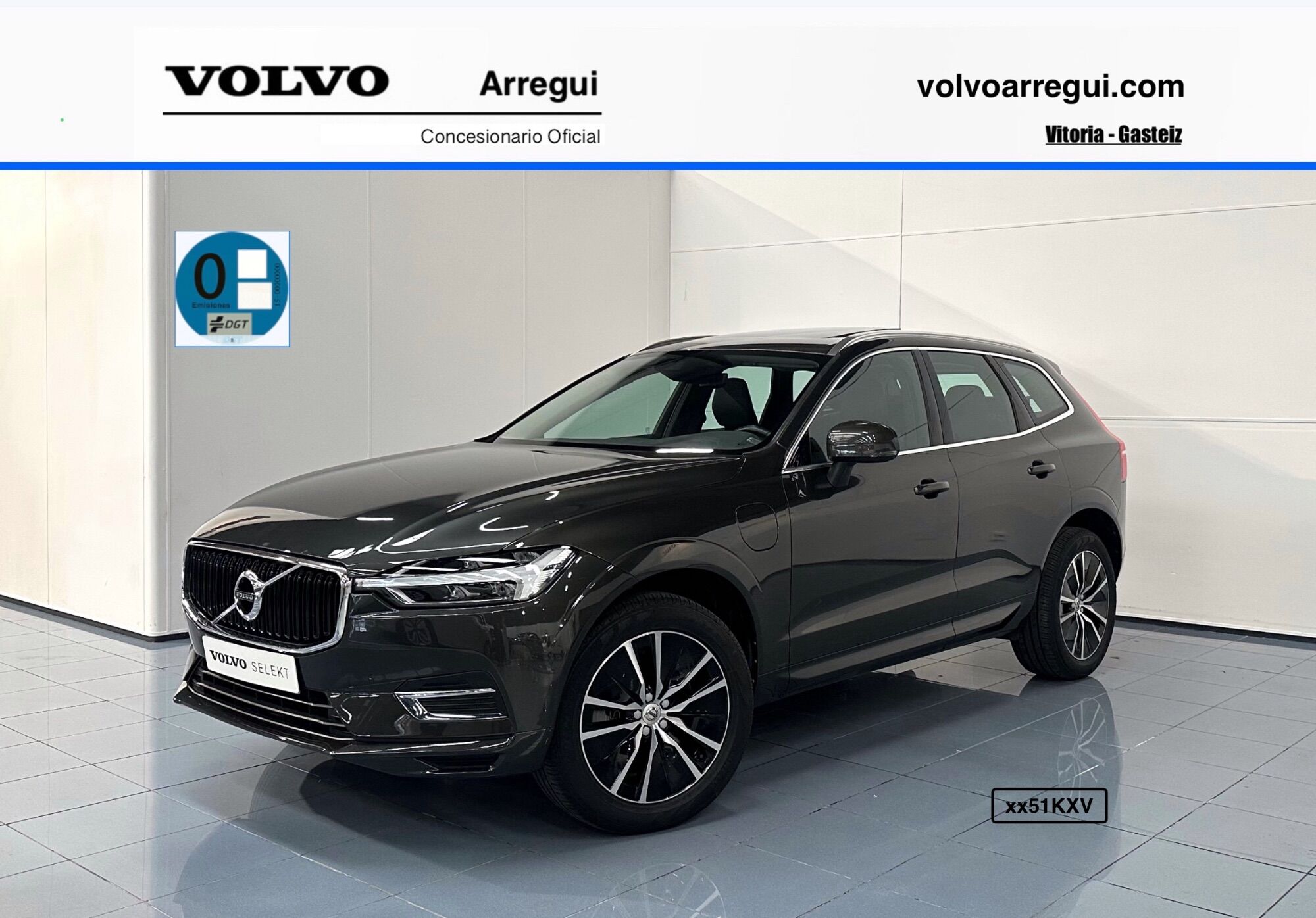 VOLVO XC60 (T8 Twin Momentum) en Álava