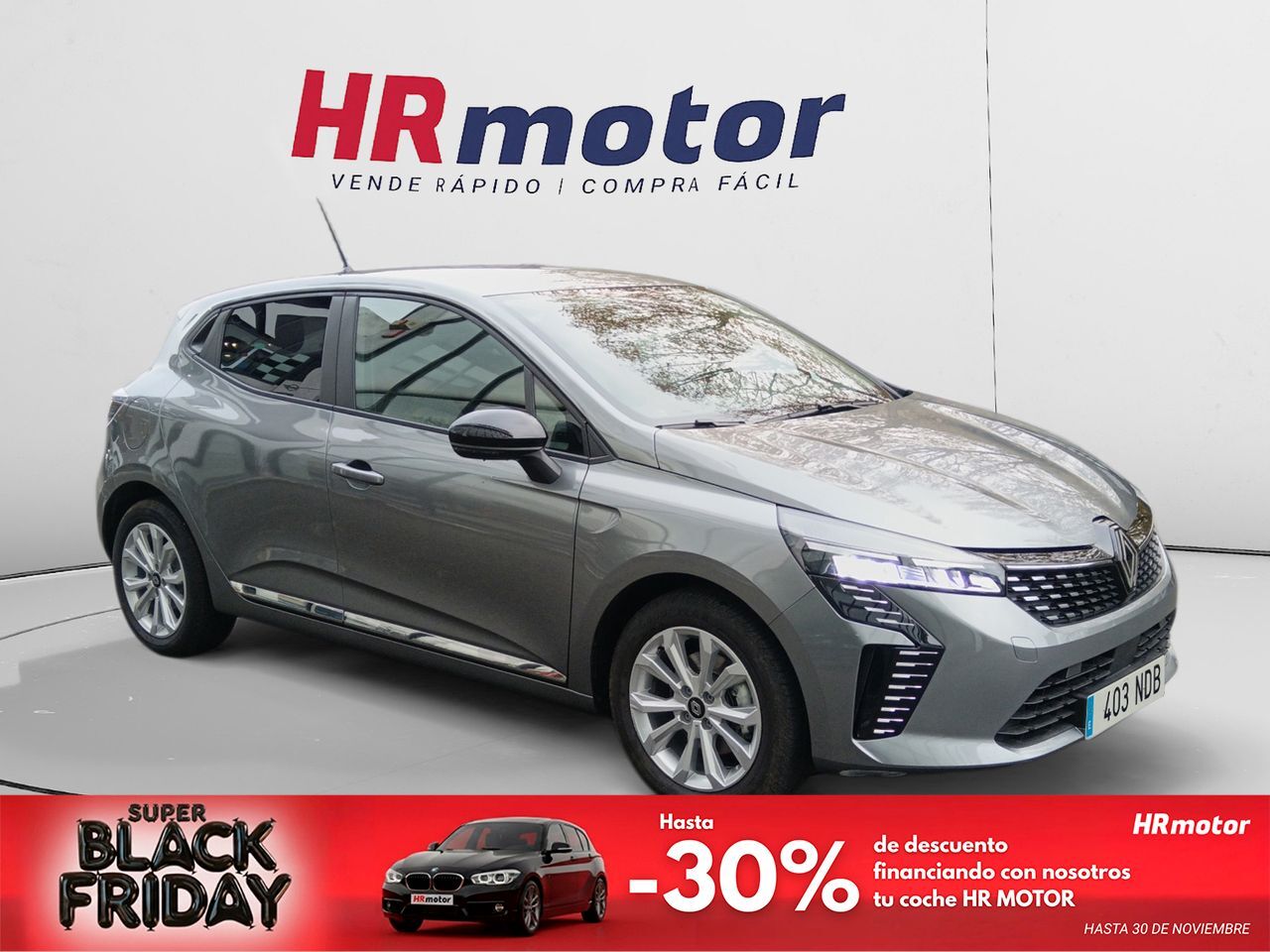 RENAULT Clio (Evolution) en Madrid