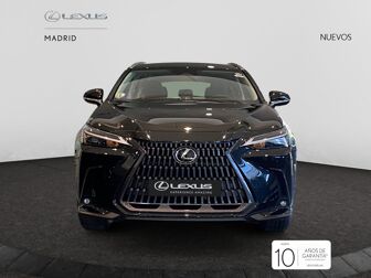 Imagen de LEXUS NX 350h Business City 2WD