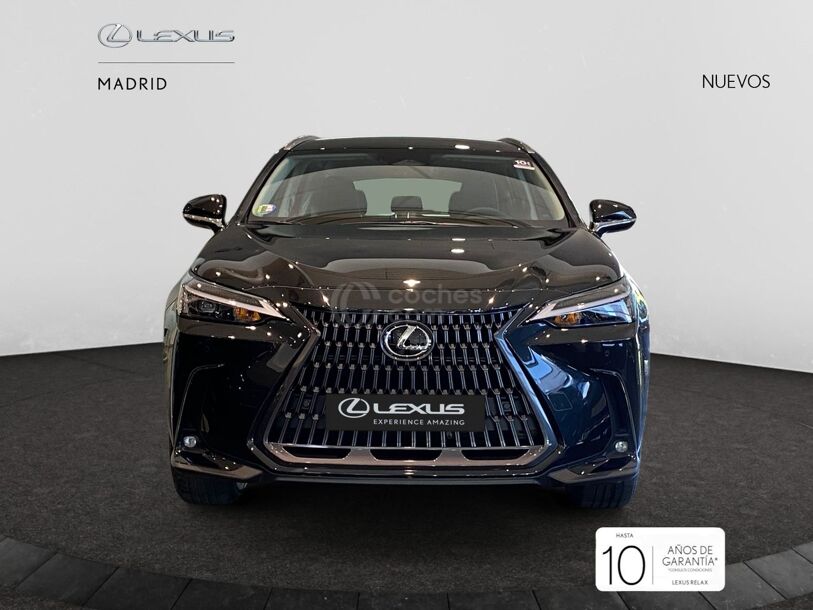 Foto del LEXUS NX 350h Business City 2WD