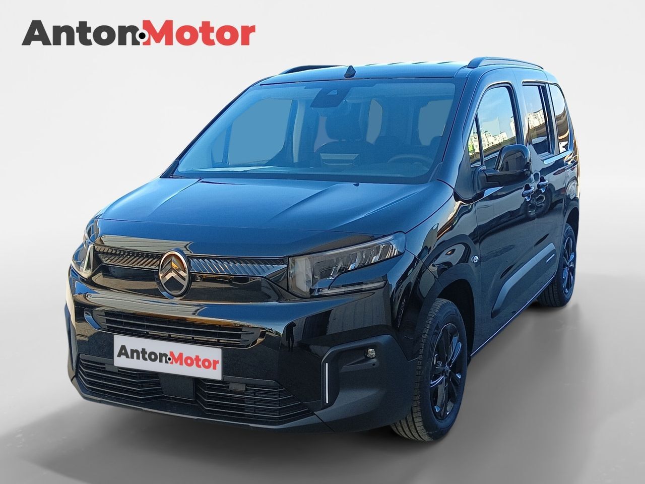 CITROEN Berlingo (Talla M BlueHDi 100 S&S MAX) en Álava