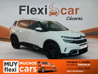 Imagen de CITROEN C5 Aircross PureTech S&S C-Series 130