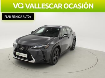 Imagen de LEXUS UX 250h Business 4WD