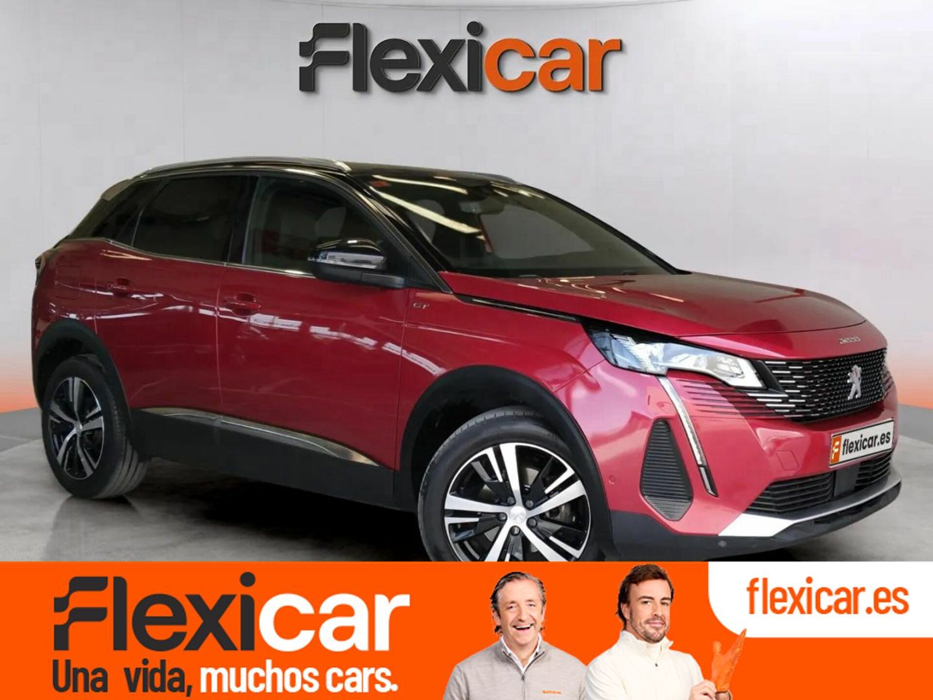 Imagen de PEUGEOT 3008