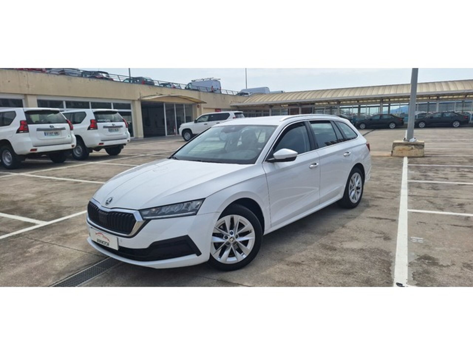 Imagen de SKODA Octavia