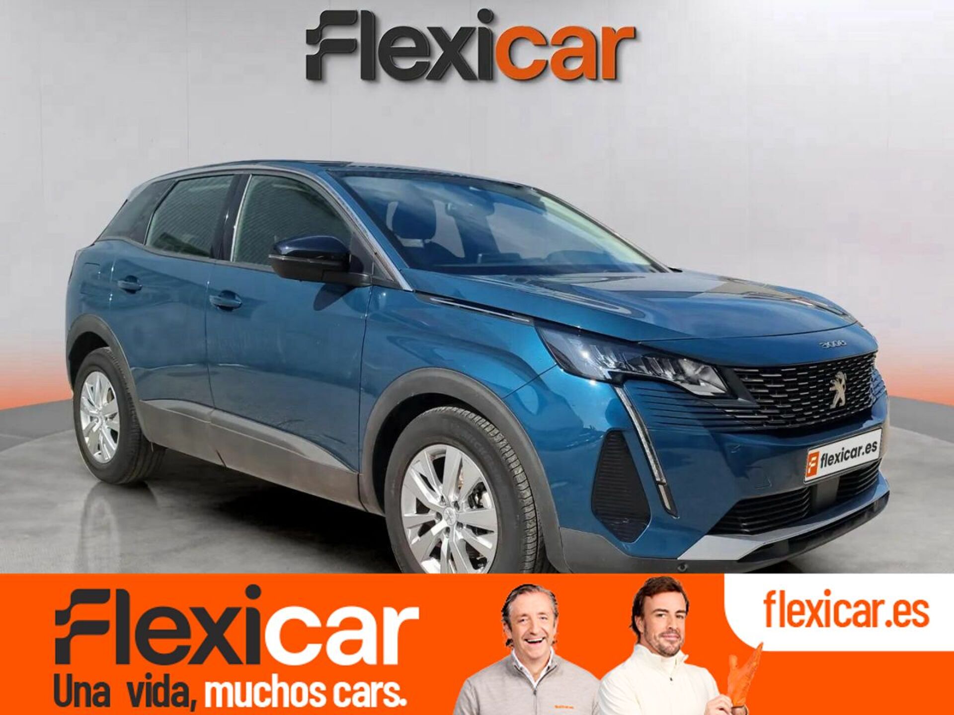Imagen de PEUGEOT 3008
