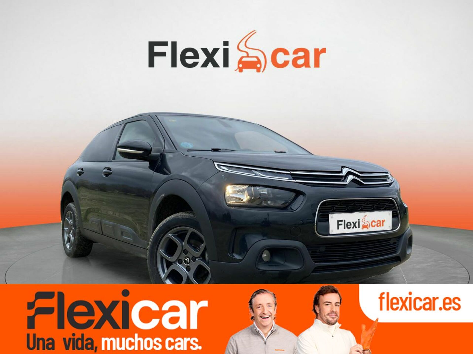 Imagen de CITROEN C4 Cactus