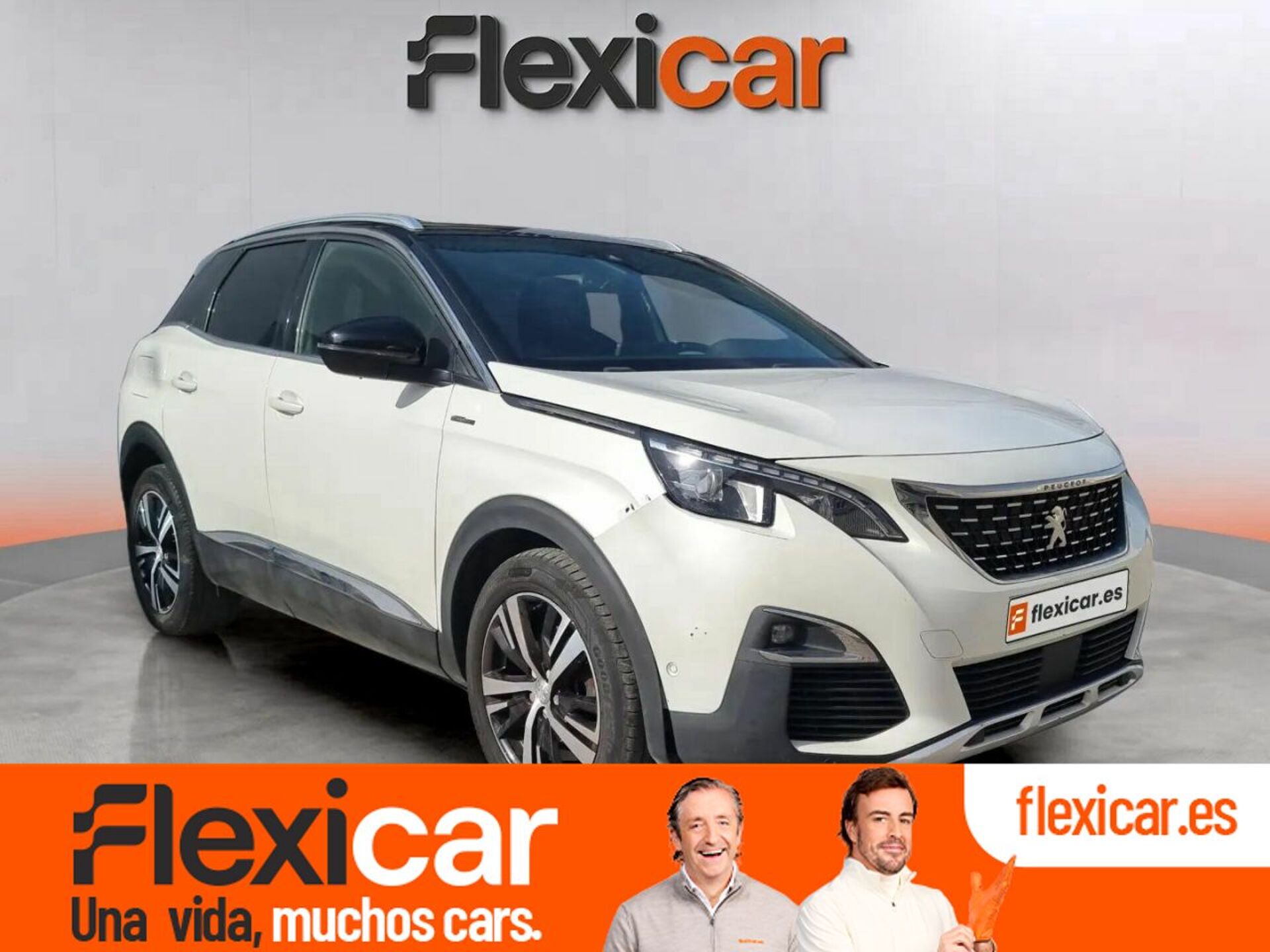Imagen de PEUGEOT 3008