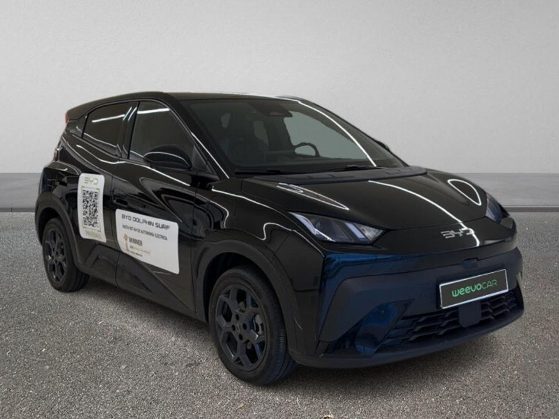 Imagen 3 de BYD Dolphin Surf