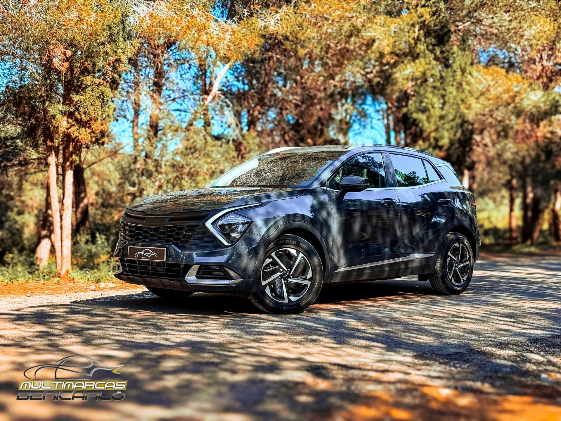 Imagen de KIA Sportage