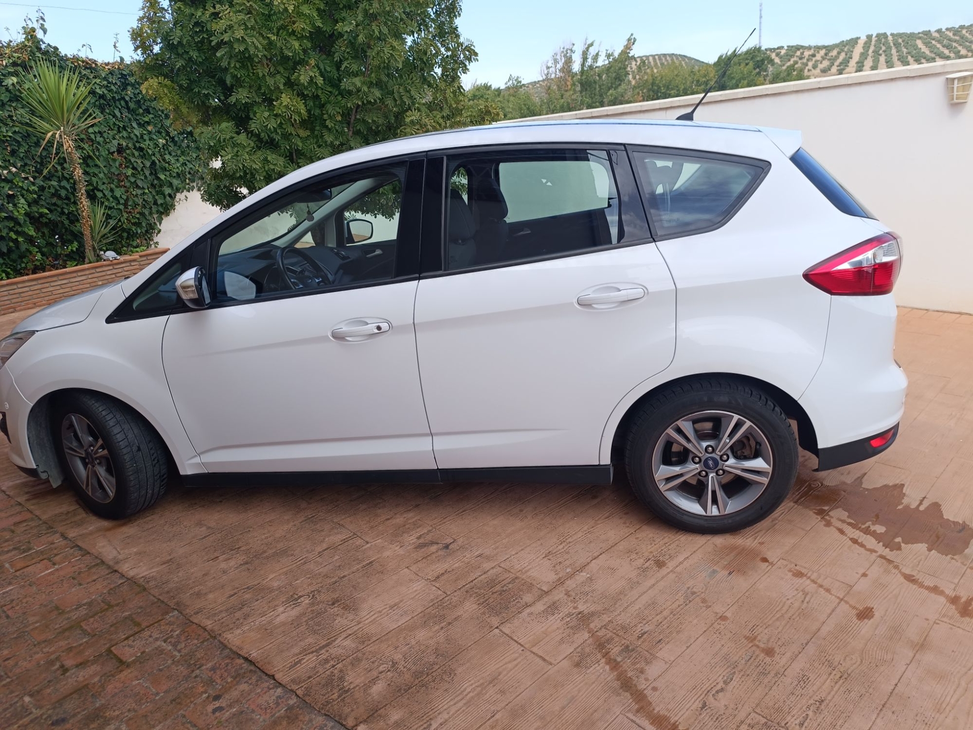 Imagen de FORD C-Max