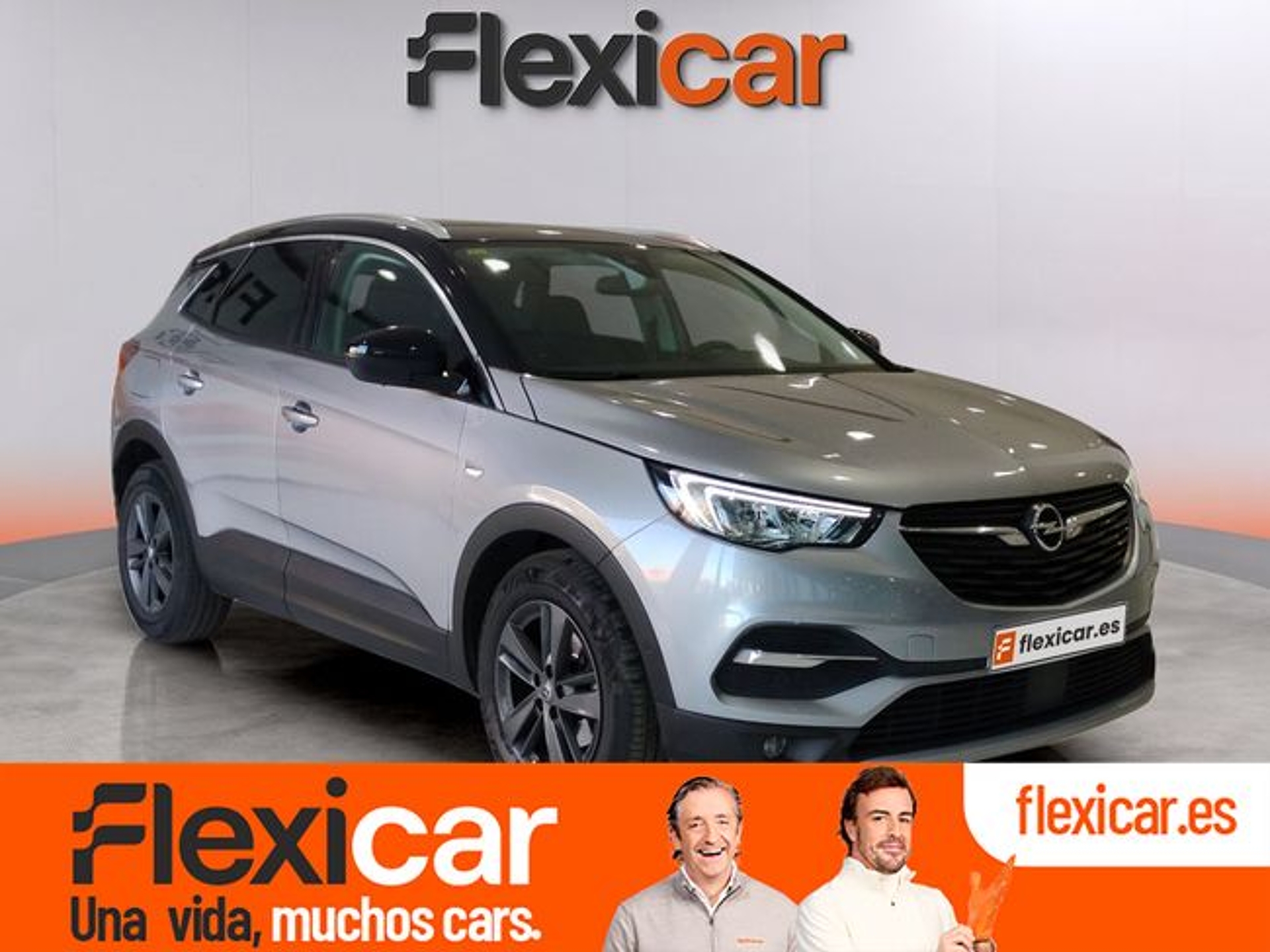 Imagen de OPEL Grandland X