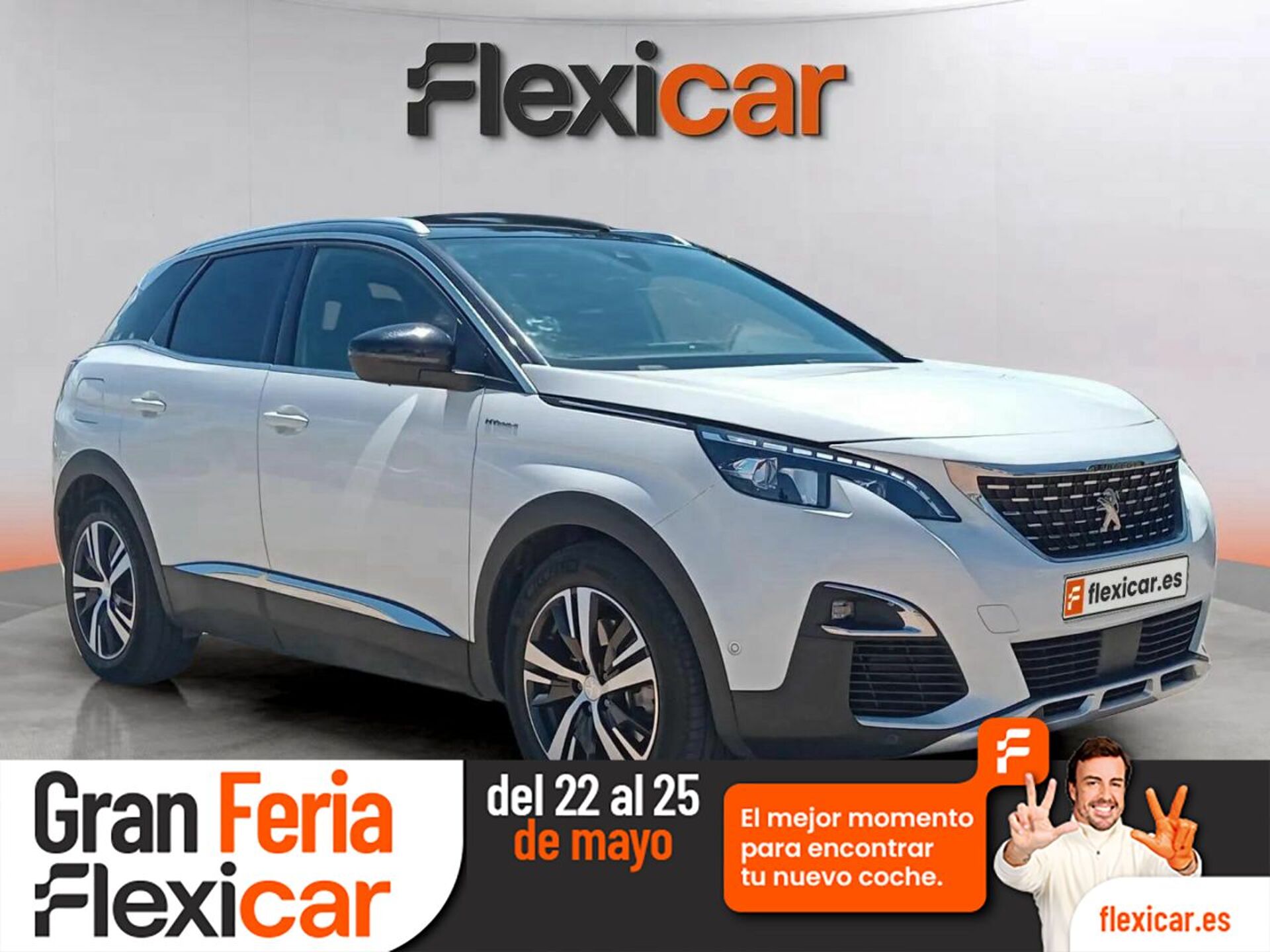 Imagen de PEUGEOT 3008
