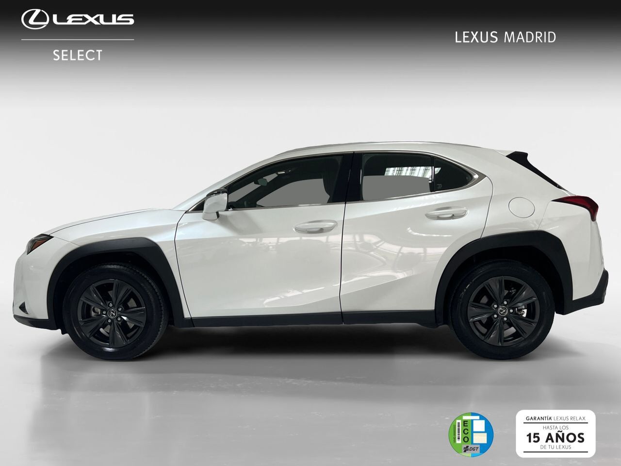 Foto del LEXUS UX 300h UX+