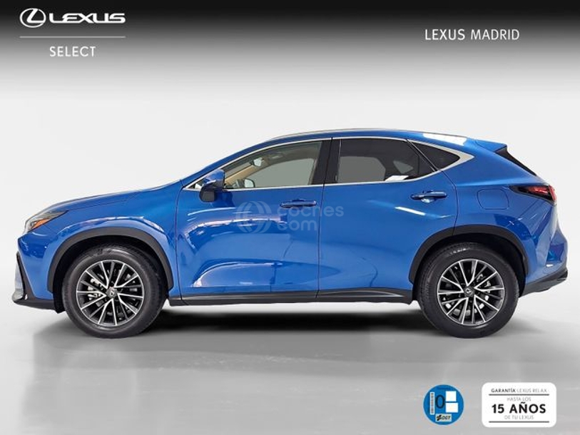 Foto del LEXUS NX 450h+ Executive 4WD